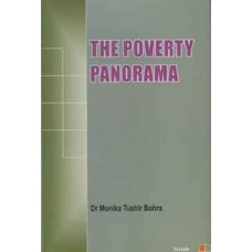 The Poverty Panorama